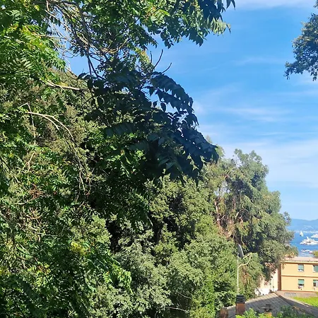 Hidden Gem Apartment *